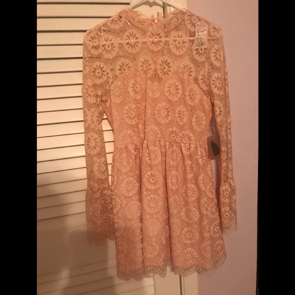 Forever 21 Contemporary Blush Pink Lace Dress